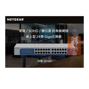 Netgear GS524  24埠 Giga 交換器 10/100/1000Mbps