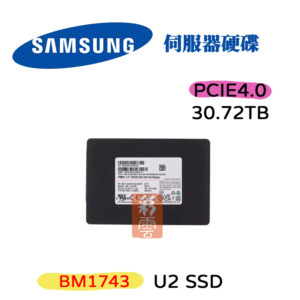 全新 三星 SAMSUNG U2 PCIE4.0 SSD 伺服器用 (30.72TB /15.36TB)