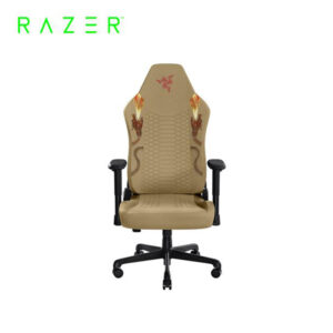 雷蛇Razer Iskur V2 X RZ38-05310500-R3UA電競椅 CounterStrike 2聯名款