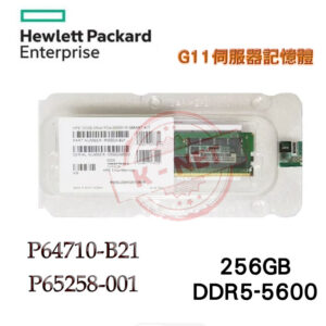 全新盒裝 HP P64710-B21 P65258-001 256GB DDR5-5600 G11伺服器用記憶體