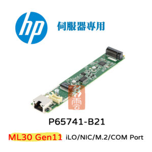 HP 惠普 ML30 Gen11  伺服器專用 P65741-B21  iLO/COM/NIC/M.2